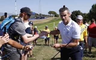 Мяч для гольфа Гарета Бейла украден собакой в Южной Африке