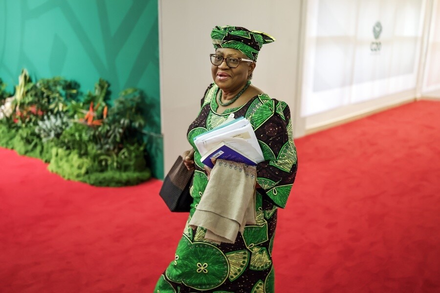 WTO Director-General warns of world trade 'overdependence' on US