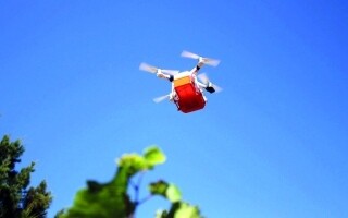 Инновационная технология дронов защищает винодельни в Кейптауне