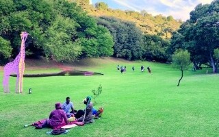 Возрождение парка 'Дикая Природа' - История надежды в Йоханнесбурге