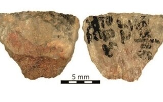 Scientists Discover World's Oldest Poisoned Arrows in South Africa