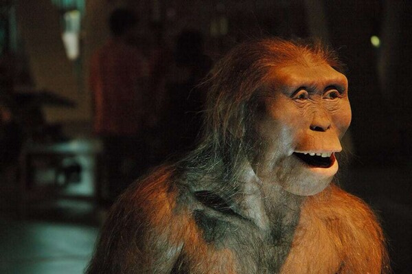 Study Reveals Vegetarian Diet of Australopithecus